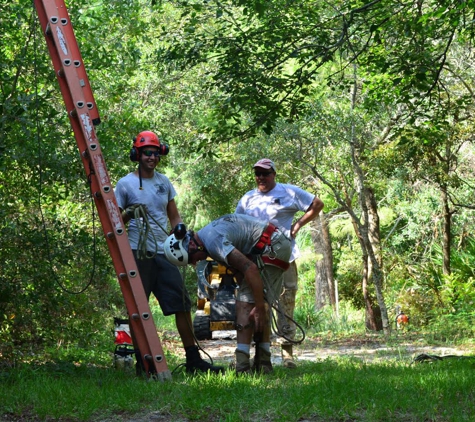 Schnelloggers Tree Service