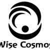 Wise Cosmos Educational Initiative gallery