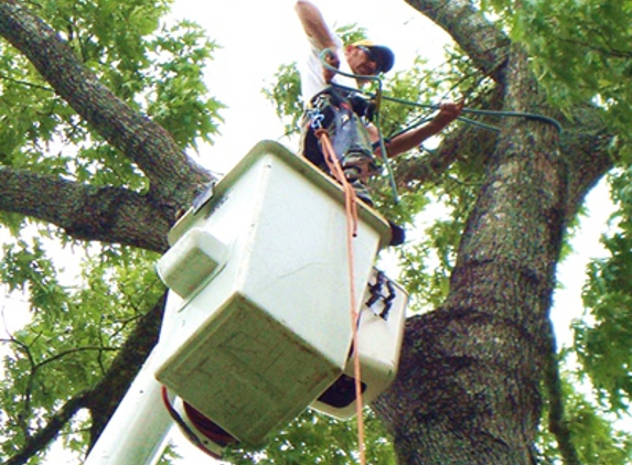 Gray's Tree Service - Troy, OH