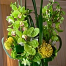 Enchantment Florist - Flowers, Plants & Trees-Silk, Dried, Etc.-Retail
