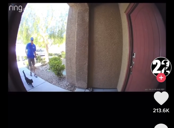 Williams Pest Control - Las Vegas, NV. Worker kicking a cat
