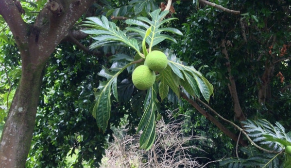 National Tropical Botanical - Koloa, HI