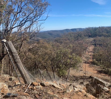 RAP Surveying - Muscle Creek, NSW