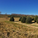 Geer Tree Farm - Christmas Trees