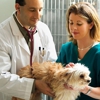 Southern Hills Veterinary Hospital gallery