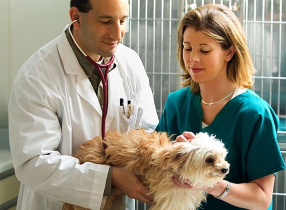 Southern Hills Veterinary Hospital - Edmond, OK