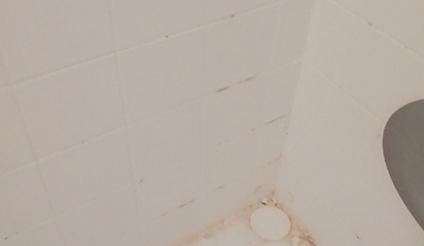 Dust Bunnies of Orange County. The corners of the shower are where all the shampoo, conditioner, and soap sit.  Clean right?  Look behind and see what you find in the corn