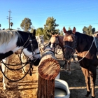 Wine Country Trails by Horseback