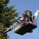 Quaility Tree Service