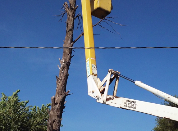Quality Tree Care - Lubbock, TX. We have a bucket truck. Family owned.