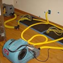 Florida Restoration Specialist - Carpet & Rug Cleaners