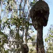 Gallery Image Number 3