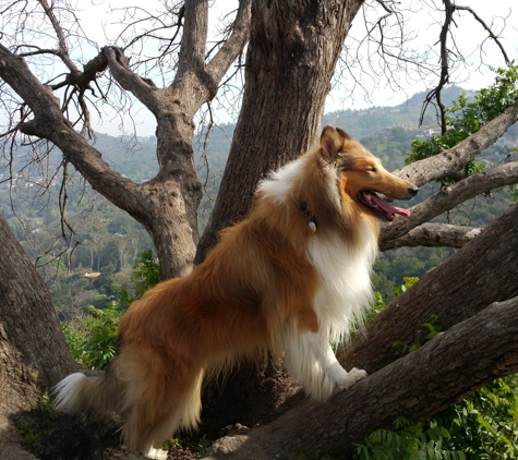 Rusty's Discount Pet Center - Studio City, CA