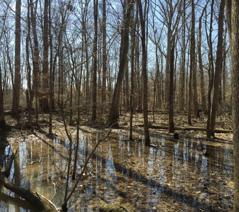 Muscatatuck National Wildlife Refuge - Seymour, IN