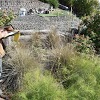 Peninsula Environmental Group, Inc gallery