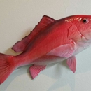 Southern Classic Taxidermy Studio - Taxidermists