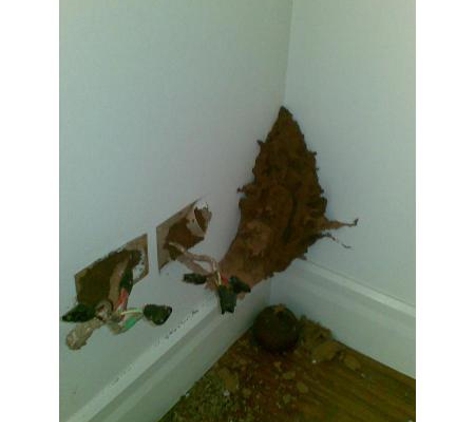 Redlands Pest Control