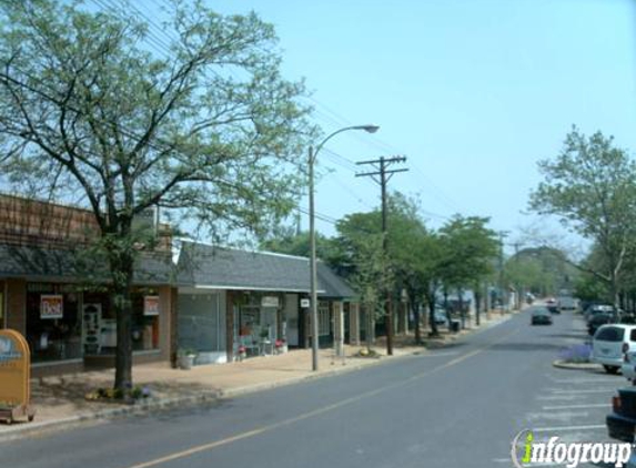 Checkered Cottage - Saint Louis, MO