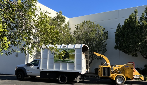 Ed's Tree Services - San Bernardino, CA