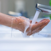 Gallery Image Number 5