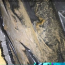 Balor Restoration - Water Damage Restoration