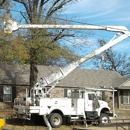 Arkansaw Tree Service - Tree Service