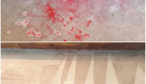 Famous Cleaning - Parafield Gardens, SA. My Carpet Before and After,  Thanks you Famous Cleaning