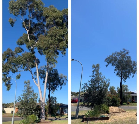Elevated Arbor Care - Cranebrook, NSW. Gone in a few hours! Left the yard clean and tidy!