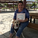 Wagging Tails Training - Pet Services