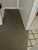 Gorman's Carpet Care & Pest Control - Pest Control