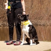 Ubora K9 gallery