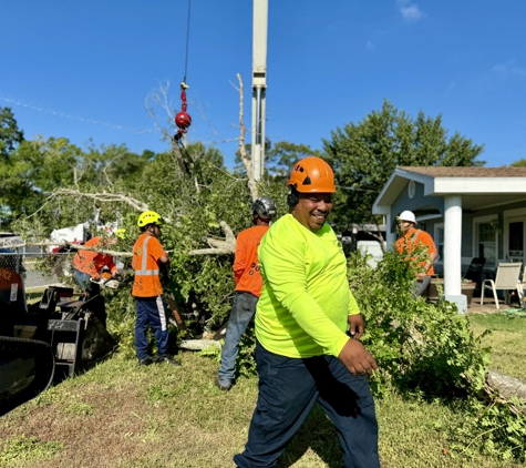 All Your Way Tree Service - Seffner, FL