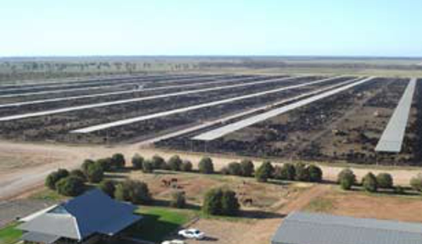 Carrathool Shire Council - Goolgowi, NSW