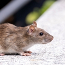 Delta Termite & Pest Control, Inc. - Pest Control Equipment & Supplies