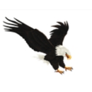 Eagle Landscaping