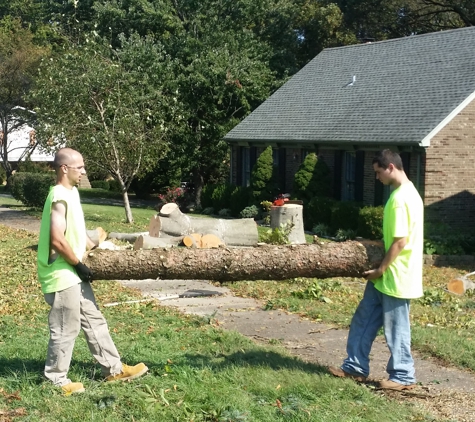 BranchWalker Tree Service - New Albany, IN