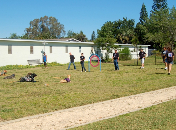 Brevard Dog Training - Melbourne, FL