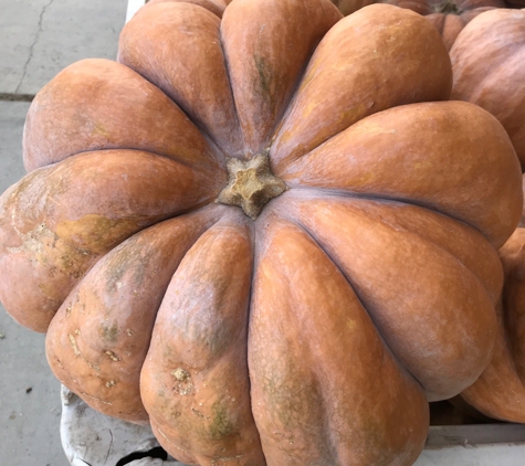 J & R Fruit Stand - Fillmore, CA