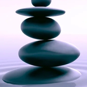 Gallery Image Number 5