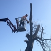 Bundy Logging and Tree Service gallery