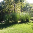 Carters Complete Lawncare Services - Landscaping & Lawn Services