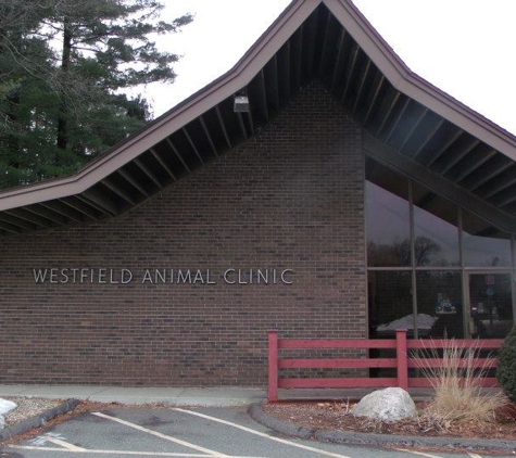 Westfield Animal Clinic - Westfield, MA