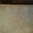 Ashure Solutions - Carpet & Rug Cleaners