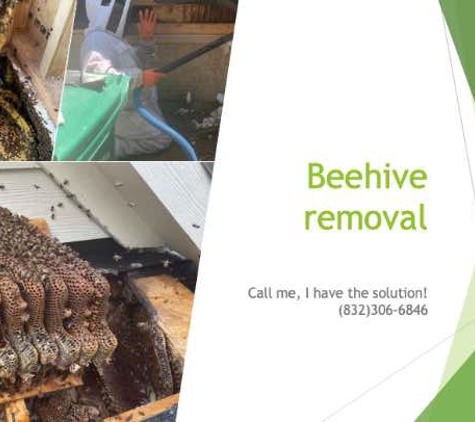 Raul The Bees Guy - Katy, TX. bee hive removal