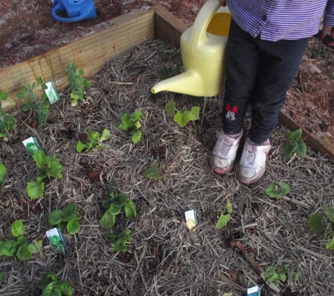 Elwood Early Learning Center Shinetime - Elwood, VIC. garden kids patch