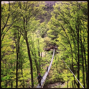 New York Zipline Adventure Tours - Hunter, NY