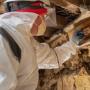 Insight Pest Solutions - Pest Control Equipment & Supplies