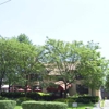 The Coffee House gallery