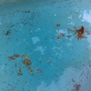 Bee's Pool Service Inc - Swimming Pool Repair & Service