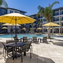 Eastborough San Marco - Apartments